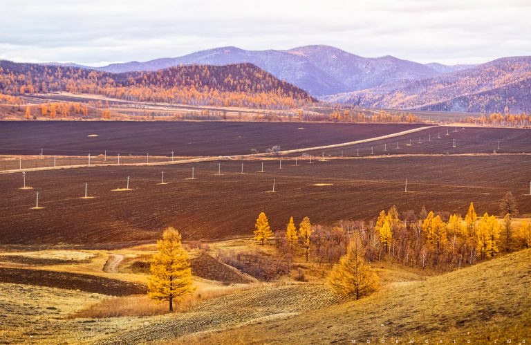 绰尔河 Moor世界